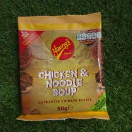 Chicken Noodle Soup